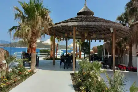 Cocos the Club Solto - 30