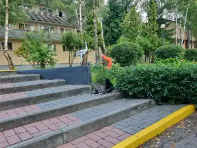 Sanatorium Praleska - 0