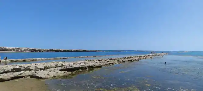 турбаза Прибой - 59