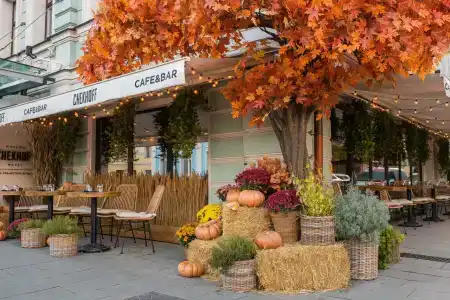 Chekhoff Moscow Curio Collection by Hilton - 35