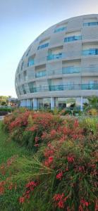 Gold Island Selected - 28