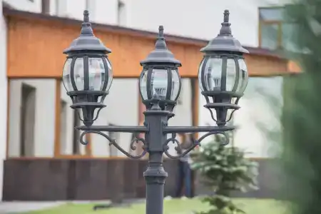 Vishnevaya Gora - 25