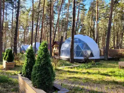 Kupolnaya baza Royal Forest - 55