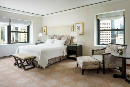 Lotte New York Palace - 50