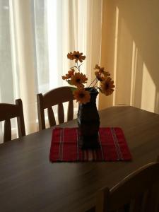 Horizont Apartments - 11