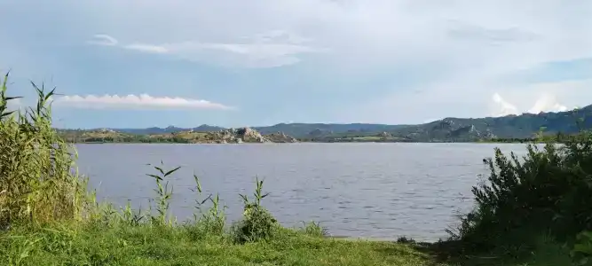 Zolotye peski - 82