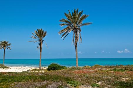 Ulysse Djerba Thalasso & Spa - 10