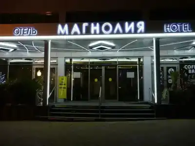 Magnoliya - 9