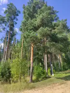 Парк-отель "Прибрежный Ярбург" - 39