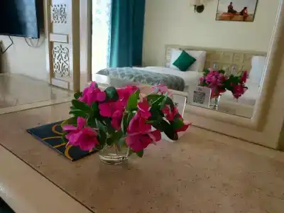 Sunrise Mamlouk Palace Resort - 61