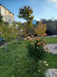 Villa kolibry - 46