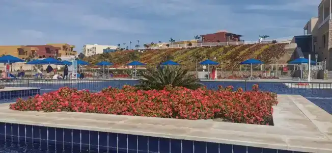 Pickalbatros Jungle Aqua Park - Neverland - 82