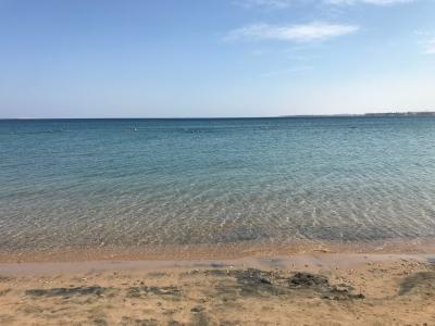 Old Palace Resort Sahl Hasheesh - 79