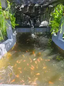 Bali Nusa Dua - 5
