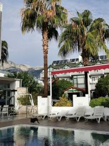 Amsterdam Boutique & Suite - 44