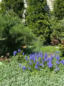 Rus Health Resort - 29