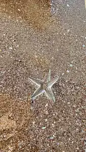 Alexia Resort & Spa - 42