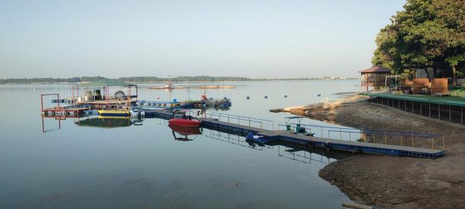 Sazan - 49