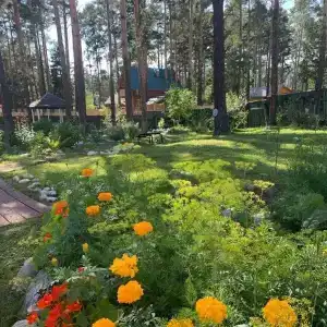 Уютный отель "Подснежник" - 54