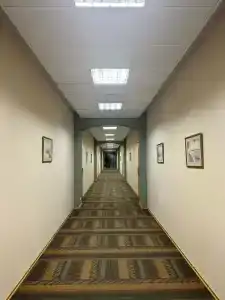 all-Russian Scientific Research Geological Institute. A. P. Karpinsky - 74