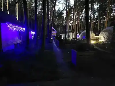 Kupolnaya baza Royal Forest - 15