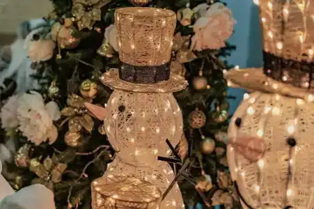 Дипломат - 14