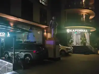 Кардинал - 41