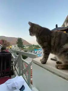 Marti la Perla - Adult Only+16 - 20