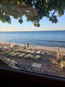 Muz - All Inclusive - 42