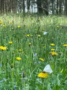Sanatorium Lastochka - 67