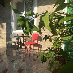 Guest House Deme - 11