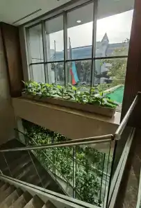 Radisson - 33