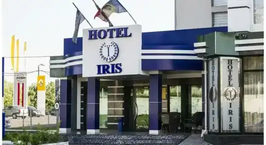 Iris - 19