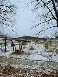 Lazurnaya cherepaha - 56