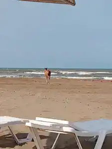 Park-otel Rubas - 57