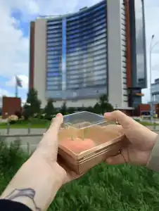 Hayatt Ridzhensi Ekaterinburg - 30