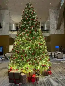 Fairmont Baku - Flame Towers - 36