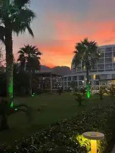 Green Nature Diamond - 46