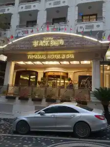 Black Bird Thermal & Spa - 3