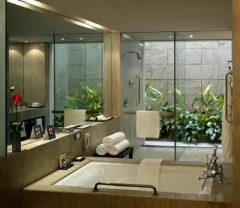 ITC Sonar, a Luxury Collection, Kolkata - 96