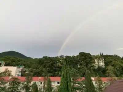 Кардинал - 11