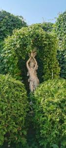 Парк-Замковый - 33