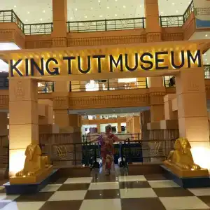 Falcon Naama Star - 40