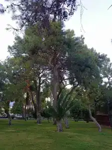 Club Marco Polo - Premium All Inclusive - 91