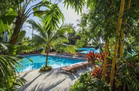 The Palms & Spa - 91