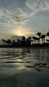 Palm Royale Resort - Soma Bay - 83