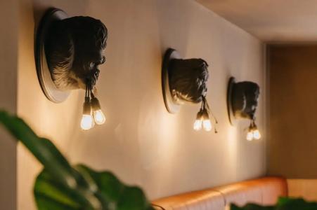 Ikyk- IK Collection - 42