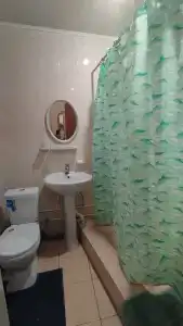 Gostinitsa Birsk - 50