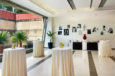 Crowne Plaza Rome St. Peter's, an IHG - 66