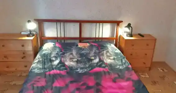 Frische Nehrung - 70